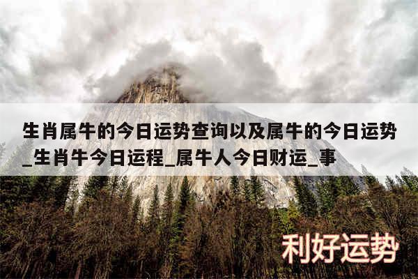 生肖属牛的今日运势查询以及属牛的今日运势_生肖牛今日运程_属牛人今日财运_事