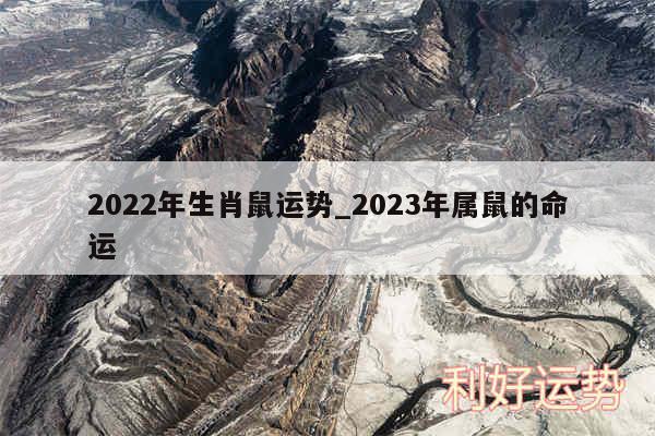 2024年生肖鼠运势_2024年属鼠的命运