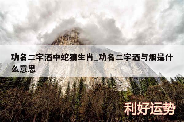 功名二字酒中蛇猜生肖_功名二字酒与烟是什么意思
