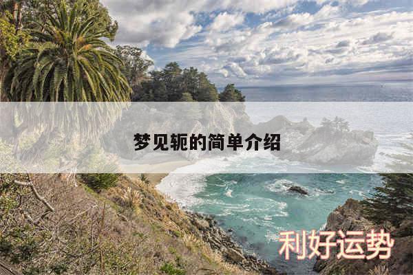 梦见轭的简单介绍