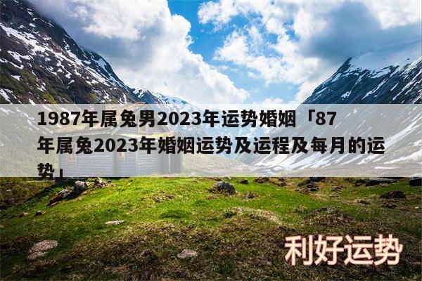 1987年属兔男2024年运势婚姻及87年属兔2024年婚姻运势及运程及每月的运势