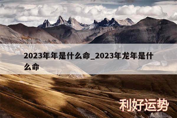 2024年年是什么命_2024年龙年是什么命