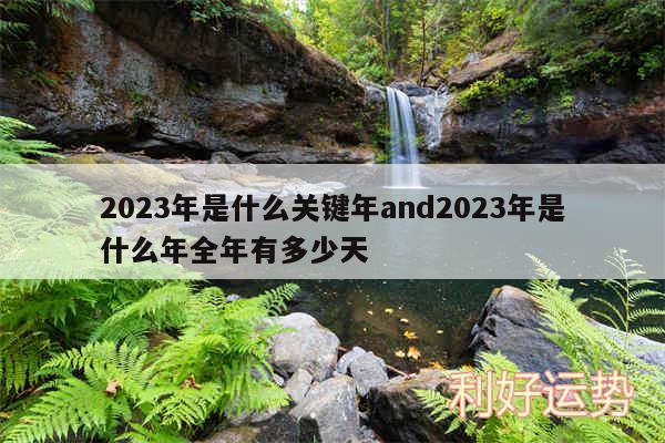 2024年是什么关键年and2024年是什么年全年有多少天