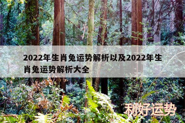 2024年生肖兔运势解析以及2024年生肖兔运势解析大全