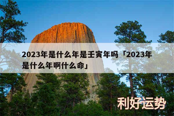 2024年是什么年是壬寅年吗及2024年是什么年啊什么命