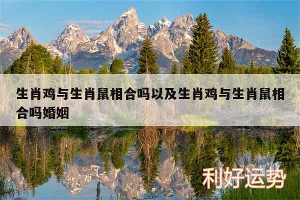 生肖鸡与生肖鼠相合吗以及生肖鸡与生肖鼠相合吗婚姻