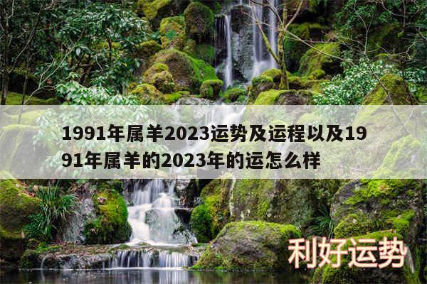 1991年属羊2024运势及运程以及1991年属羊的2024年的运怎么样