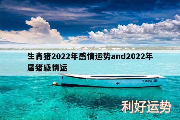 生肖猪2024年感情运势and2024年属猪感情运