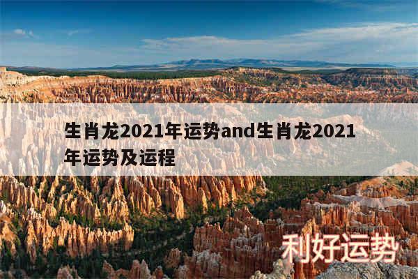 生肖龙2024年运势and生肖龙2024年运势及运程