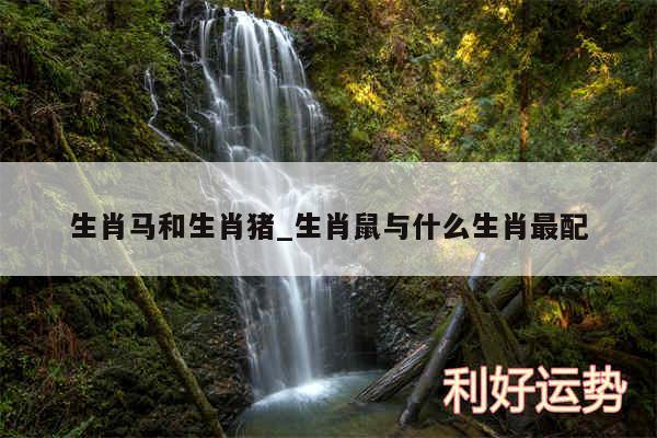 生肖马和生肖猪_生肖鼠与什么生肖最配