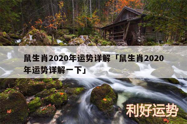 鼠生肖2020年运势详解及鼠生肖2020年运势详解一下