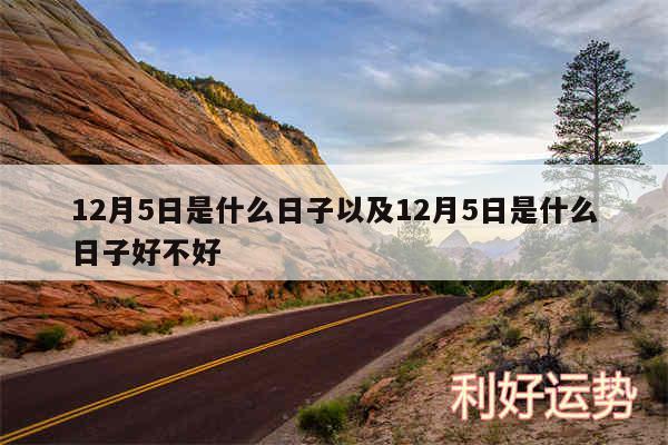12月5日是什么日子以及12月5日是什么日子好不好