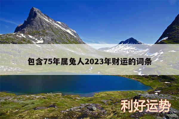 包含75年属兔人2024年财运的词条