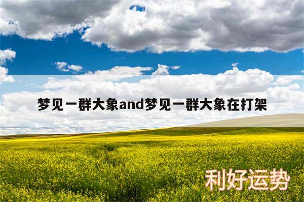 梦见一群大象and梦见一群大象在打架