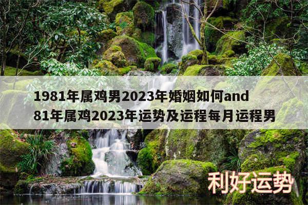 1981年属鸡男2024年婚姻如何and81年属鸡2024年运势及运程每月运程男