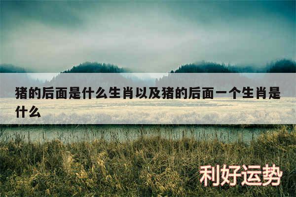 猪的后面是什么生肖以及猪的后面一个生肖是什么
