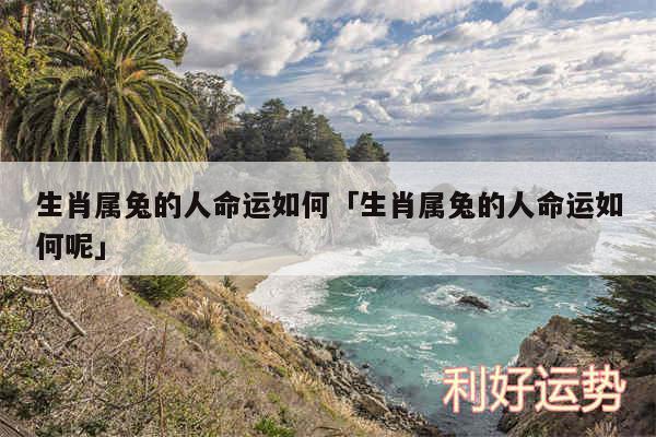 生肖属兔的人命运如何及生肖属兔的人命运如何呢