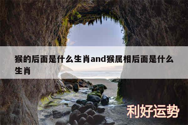 猴的后面是什么生肖and猴属相后面是什么生肖