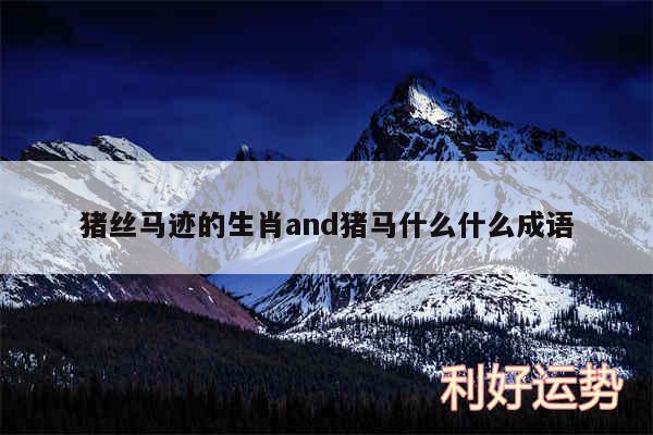 猪丝马迹的生肖and猪马什么什么成语