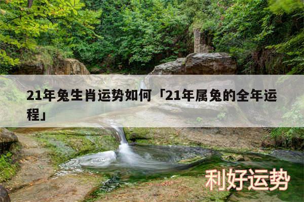 21年兔生肖运势如何及21年属兔的全年运程