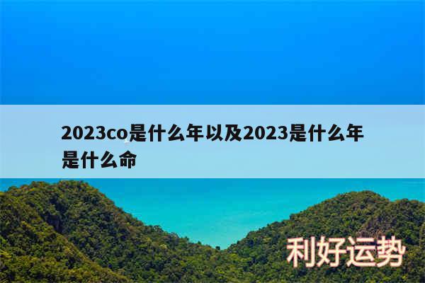 2024co是什么年以及2024是什么年是什么命