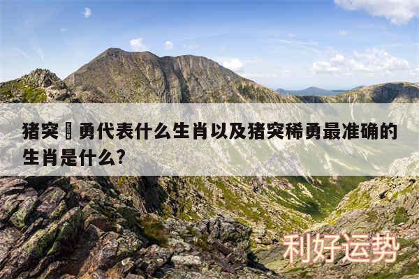 猪突豨勇代表什么生肖以及猪突稀勇最准确的生肖是什么?