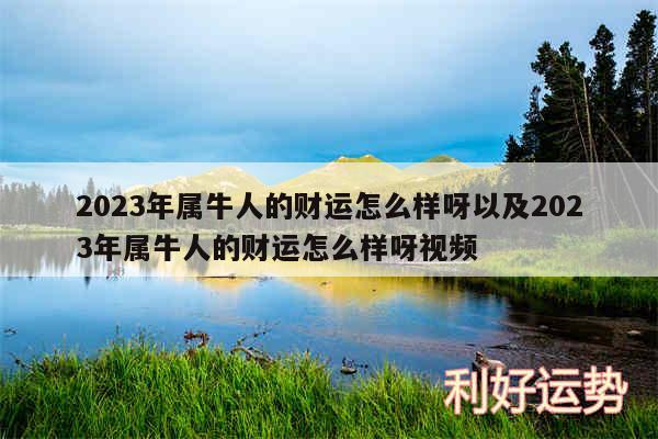 2024年属牛人的财运怎么样呀以及2024年属牛人的财运怎么样呀视频