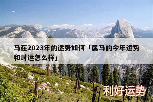 马在2024年的运势如何及属马的今年运势和财运怎么样