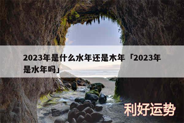 2024年是什么水年还是木年及2024年是水年吗