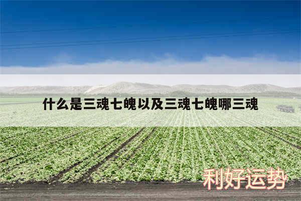 什么是三魂七魄以及三魂七魄哪三魂