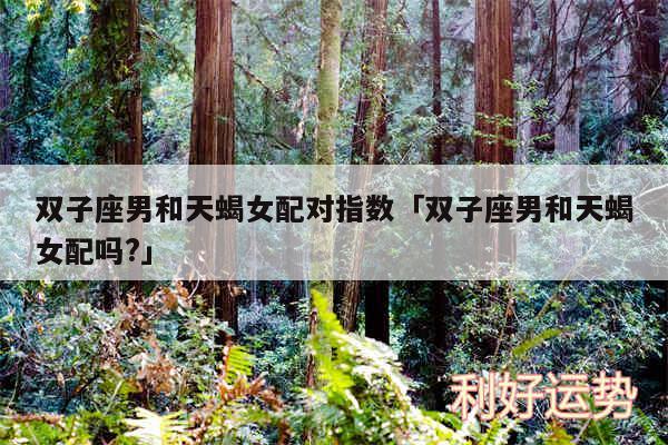 双子座男和天蝎女配对指数及双子座男和天蝎女配吗?