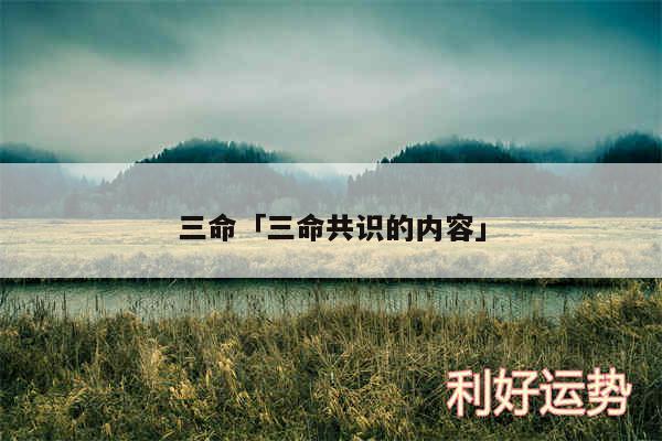 三命及三命共识的内容