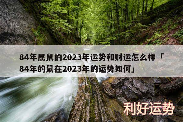 84年属鼠的2024年运势和财运怎么样及84年的鼠在2024年的运势如何