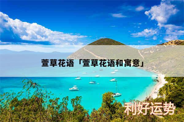 萱草花语及萱草花语和寓意