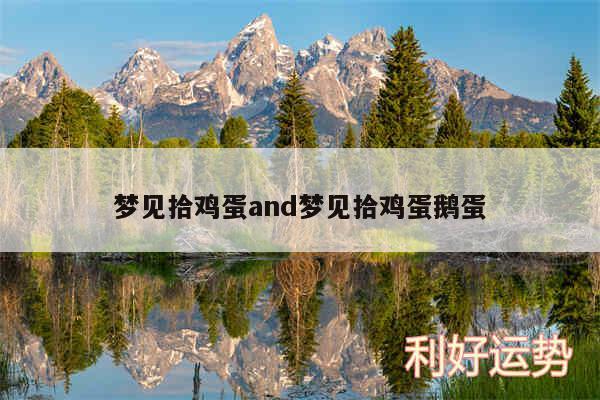 梦见拾鸡蛋and梦见拾鸡蛋鹅蛋