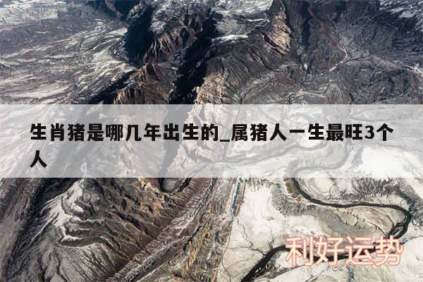 生肖猪是哪几年出生的_属猪人一生最旺3个人
