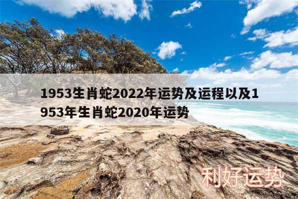 1953生肖蛇2024年运势及运程以及1953年生肖蛇2020年运势