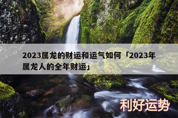 2024属龙的财运和运气如何及2024年属龙人的全年财运