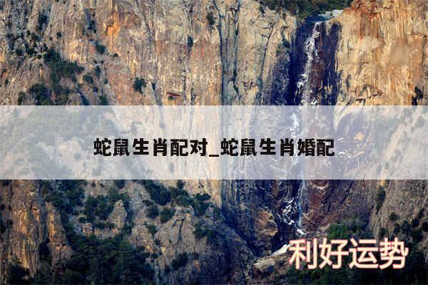 蛇鼠生肖配对_蛇鼠生肖婚配