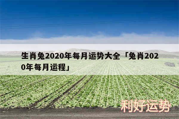 生肖兔2020年每月运势大全及兔肖2020年每月运程