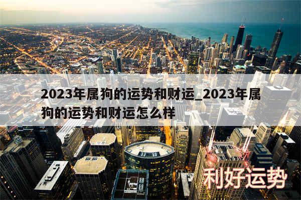 2024年属狗的运势和财运_2024年属狗的运势和财运怎么样