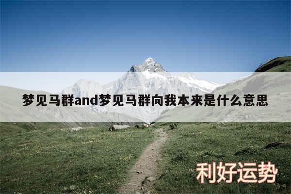 梦见马群and梦见马群向我本来是什么意思