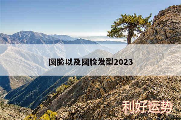 圆脸以及圆脸发型2024