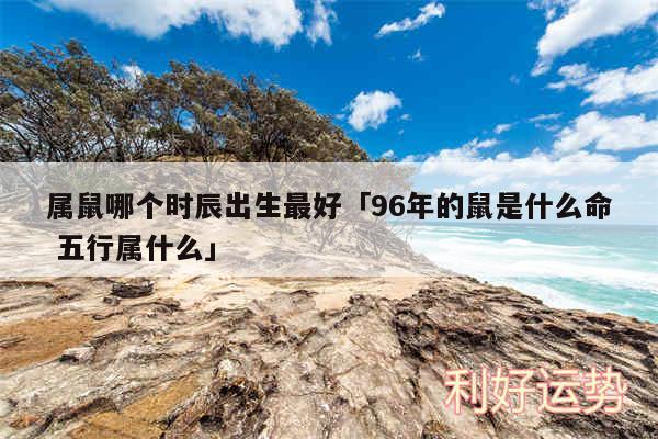 属鼠哪个时辰出生最好及96年的鼠是什么命 五行属什么