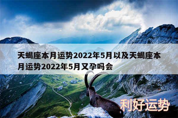 天蝎座本月运势2024年5月以及天蝎座本月运势2024年5月又孕吗会