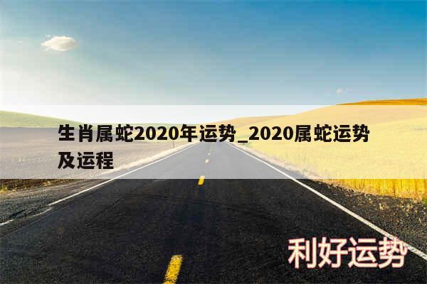 生肖属蛇2020年运势_2020属蛇运势及运程