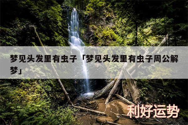 梦见头发里有虫子及梦见头发里有虫子周公解梦