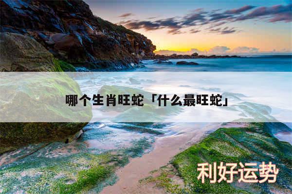 哪个生肖旺蛇及什么最旺蛇