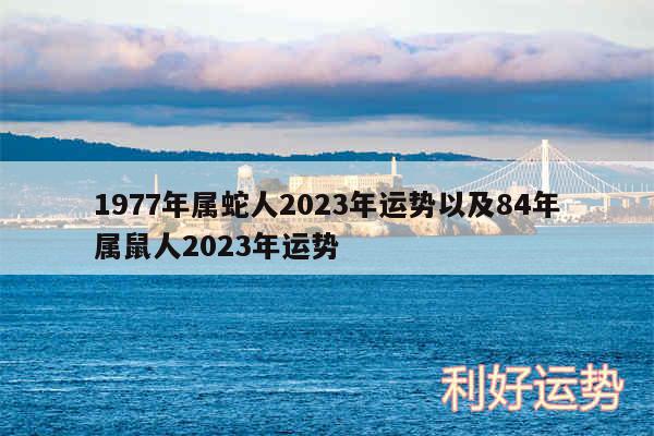 1977年属蛇人2024年运势以及84年属鼠人2024年运势