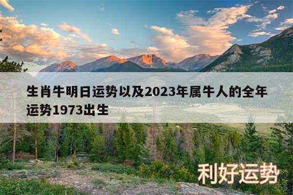 生肖牛明日运势以及2024年属牛人的全年运势1973出生